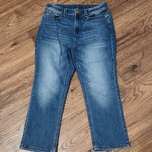 J. Jill Women's Straight Jeans - Blue